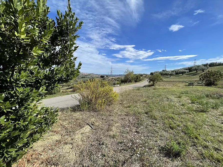 Immagine 21 di Rustico / casale in vendita  a Casalincontrada