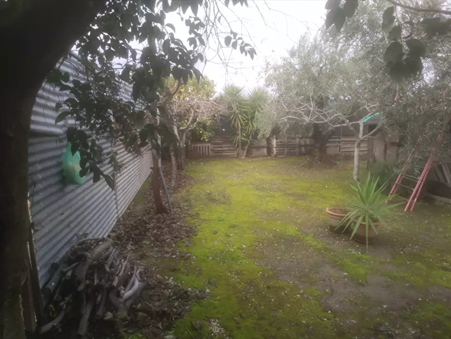 Immagine 2 di Terreno agricolo in vendita  in  TORRE QUARTO  a Cerignola