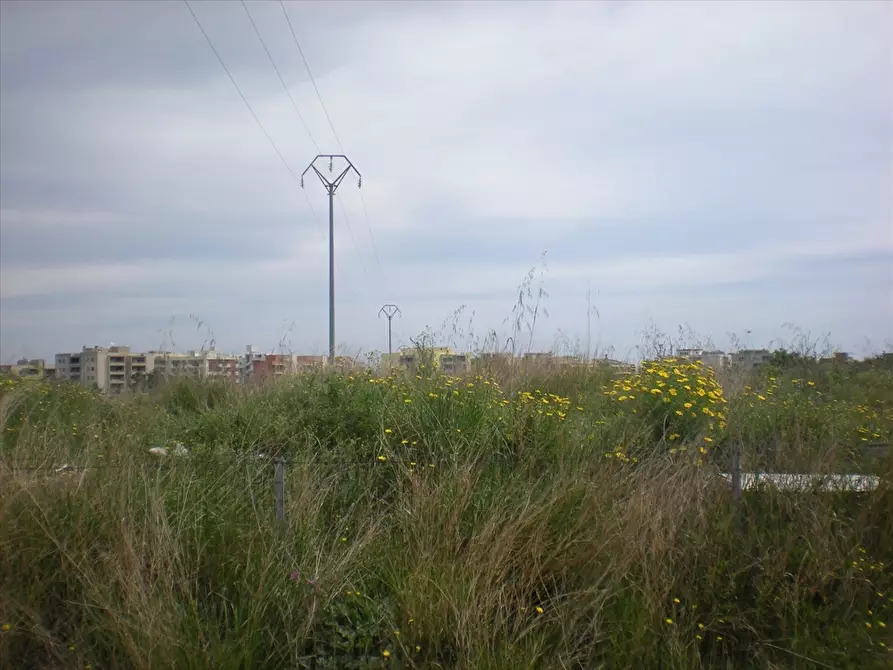 Immagine 3 di Terreno edificabile in vendita  in Via TEANO a Cerignola