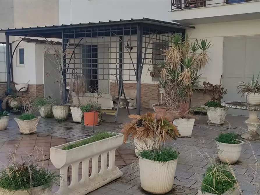 Immagine 3 di Appartamento in vendita  a Cerignola