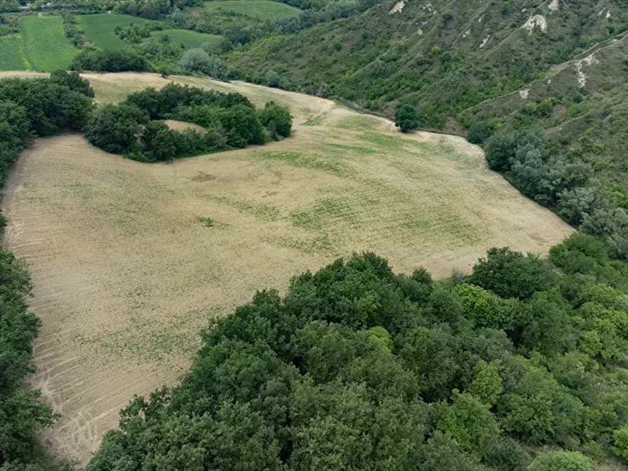Immagine 9 di Terreno agricolo in vendita  a Bucchianico