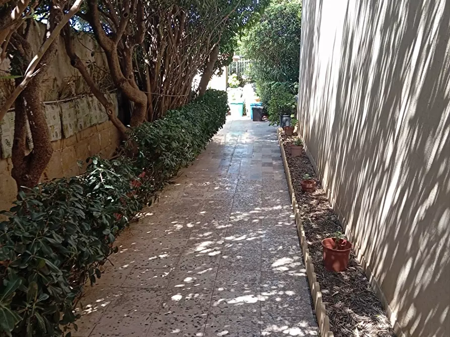 Immagine 4 di Casa indipendente in vendita  a Erice