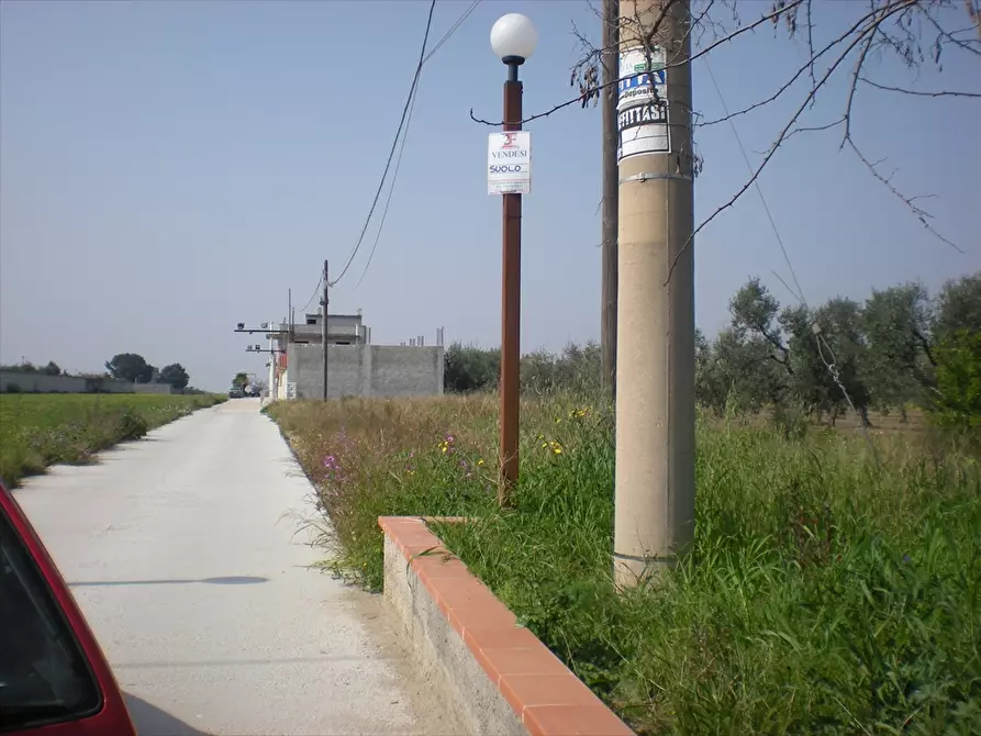 Immagine 3 di Terreno agricolo in vendita  a Cerignola