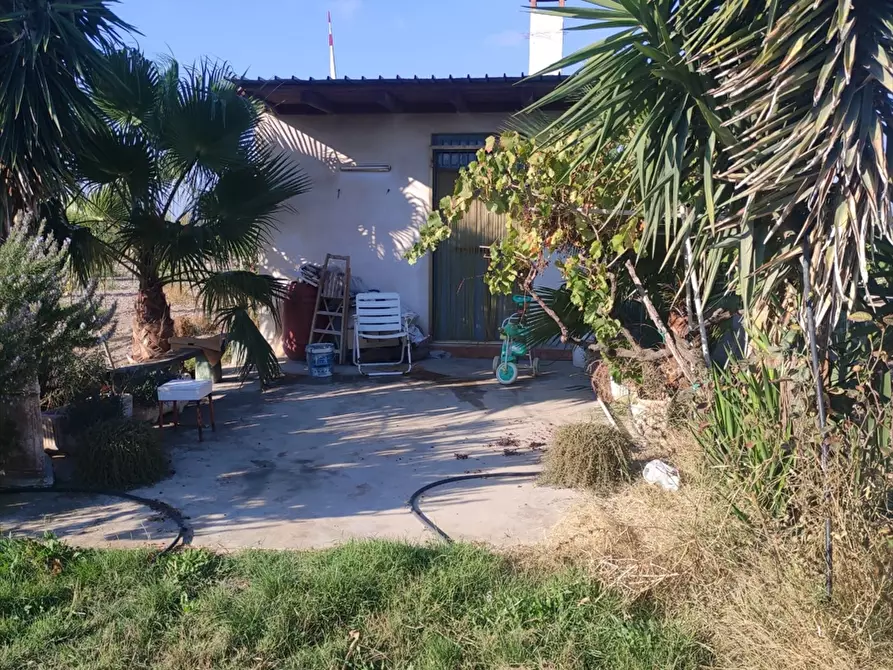 Immagine 1 di Terreno agricolo in vendita  a Cerignola