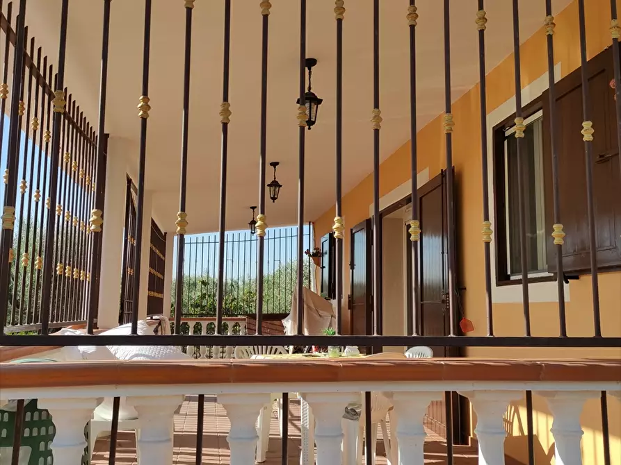 Immagine 18 di Terreno agricolo in vendita  in Contrada San Vito a Cerignola