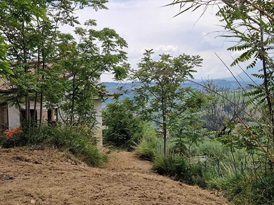 Immagine 3 di Villa in vendita  in Contrada Colle Marcone a Bucchianico