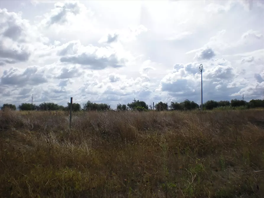 Immagine 2 di Terreno agricolo in vendita  a Cerignola