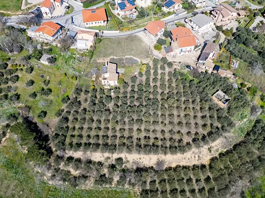 Immagine 3 di Terreno edificabile in vendita  a Ripa Teatina