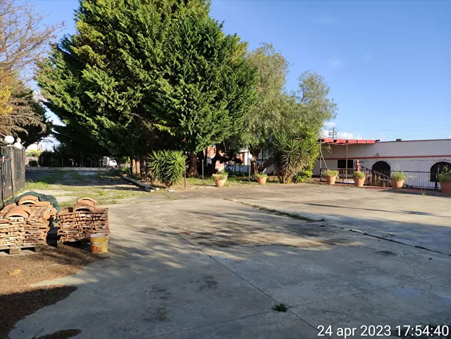 Immagine 13 di Locale commerciale in vendita  in Strada Provinciale  231 a Cerignola