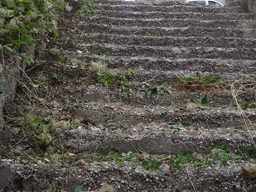 Immagine 3 di Locale residenziale in vendita  in Via Costarelle a Colledimacine