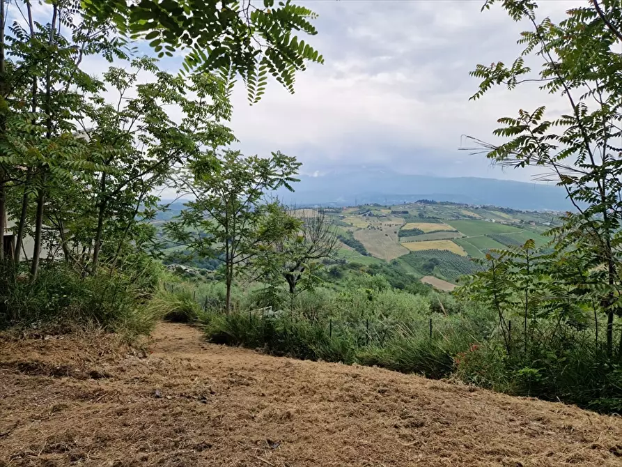 Immagine 4 di Villa in vendita  in Contrada Colle Marcone a Bucchianico