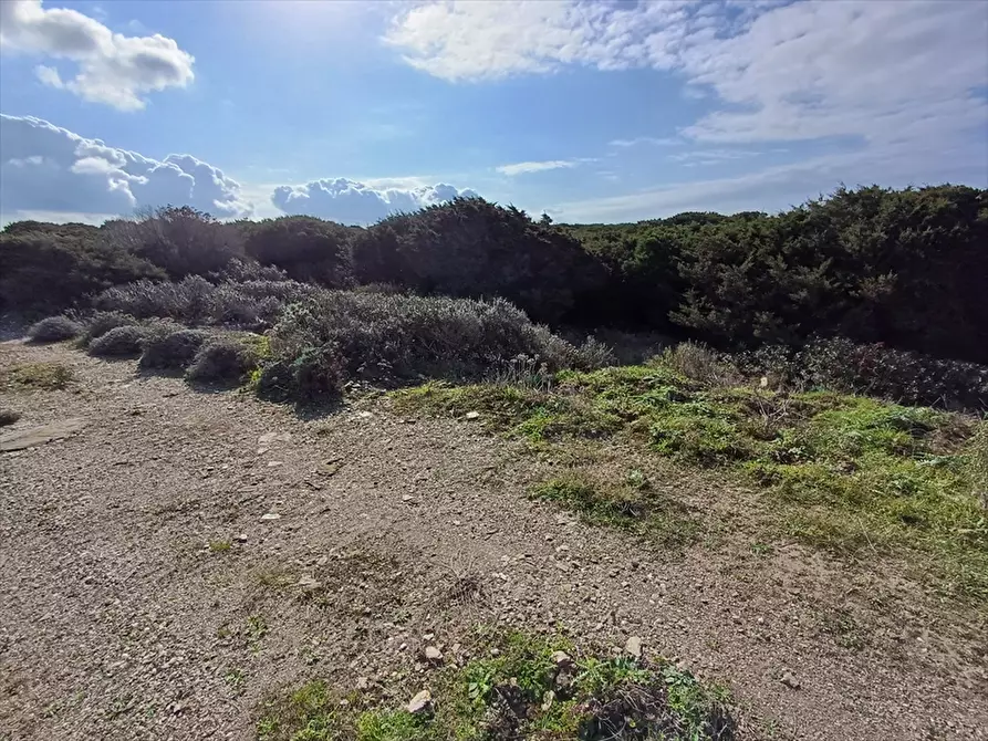 Immagine 7 di Terreno agricolo in vendita  in Cala Scoglietti 
