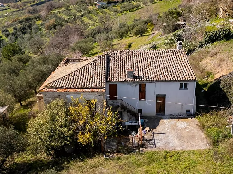 Immagine 4 di Terreno edificabile in vendita  a Ripa Teatina
