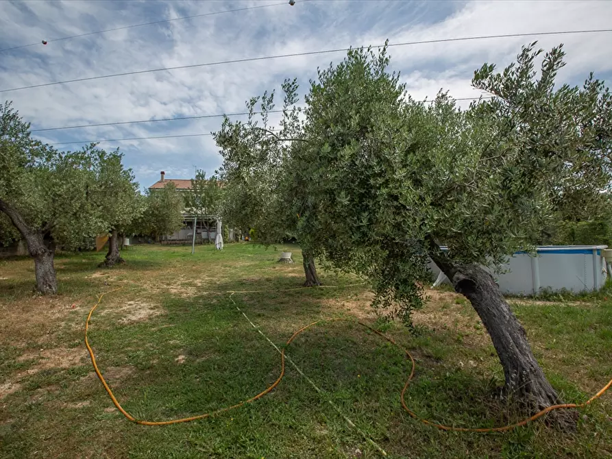 Immagine 4 di Villa in vendita  in via Torre 25 a Torrevecchia Teatina