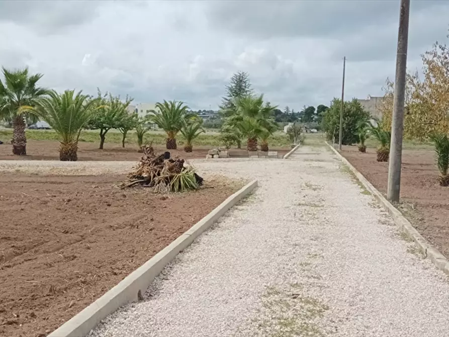 Immagine 2 di Terreno residenziale in vendita  a Corato