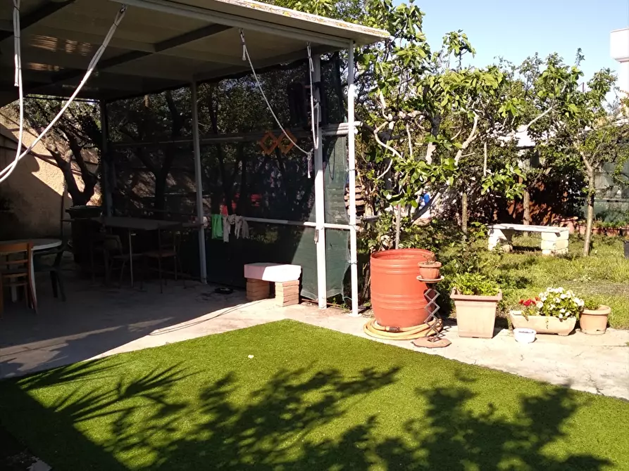 Immagine 2 di Terreno agricolo in vendita  a Cerignola