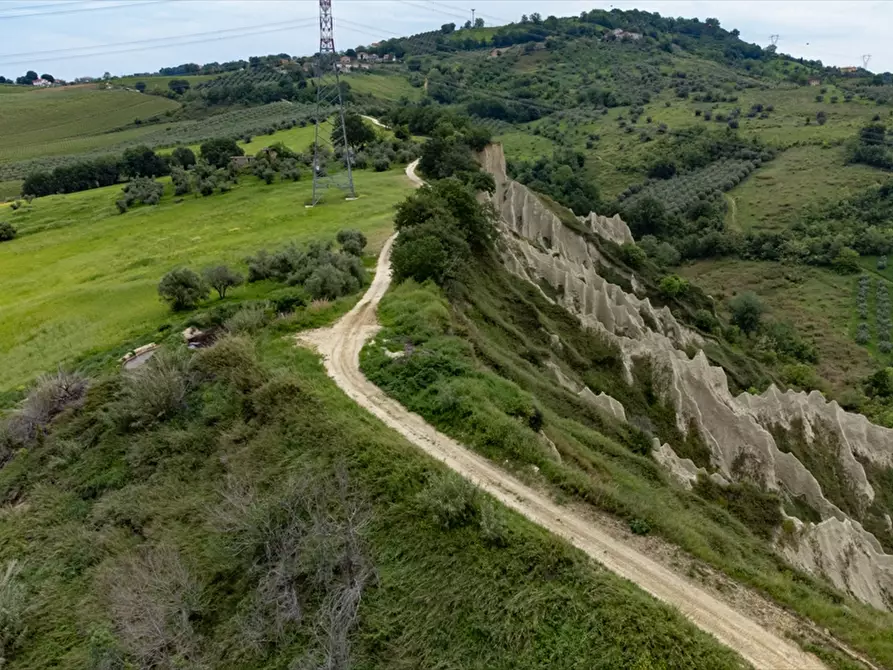 Immagine 4 di Terreno agricolo in vendita  a Bucchianico