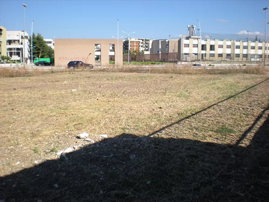 Immagine 4 di Terreno agricolo in vendita  a Cerignola