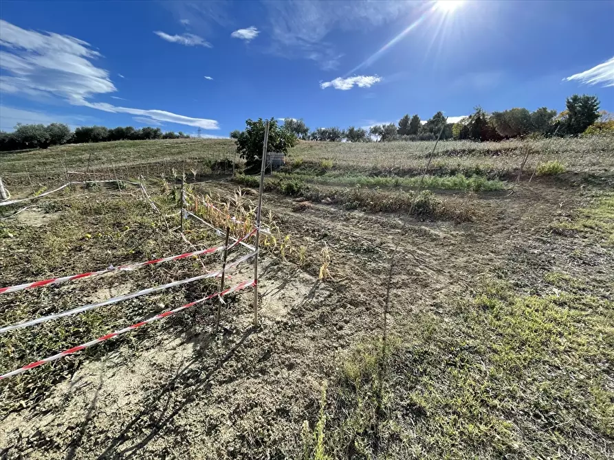 Immagine 16 di Rustico / casale in vendita  a Casalincontrada