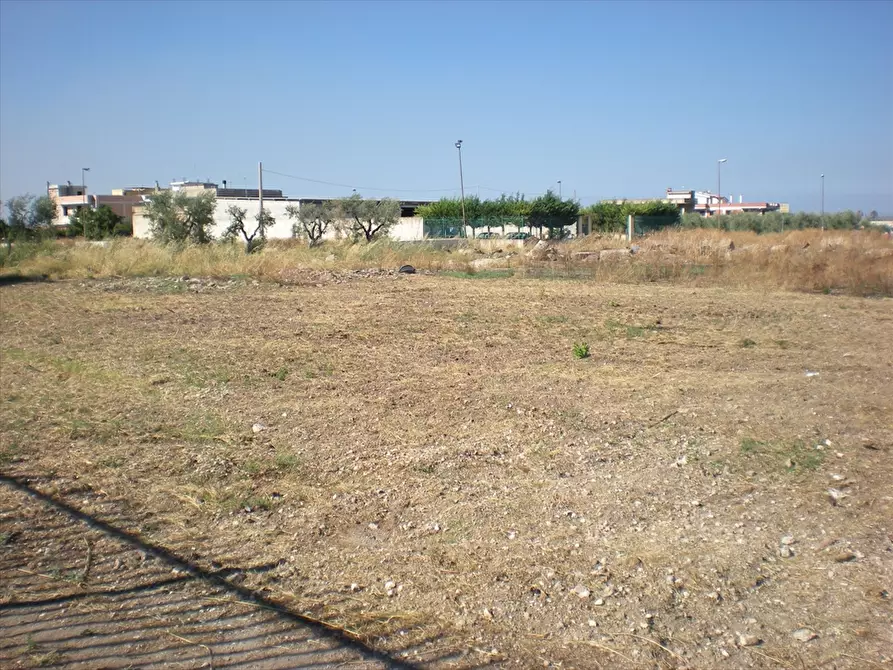 Immagine 3 di Terreno agricolo in vendita  a Cerignola