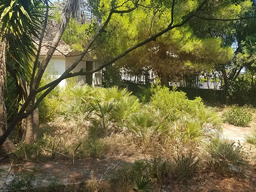 Immagine 4 di Villa in vendita  in Rosa Marina Via Jasmine 13 a Ostuni