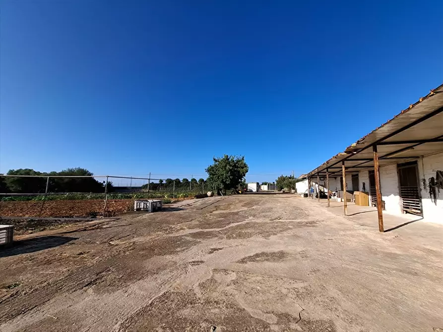 Immagine 5 di Casa indipendente in vendita  in Contrada Putignano 80 a Conversano