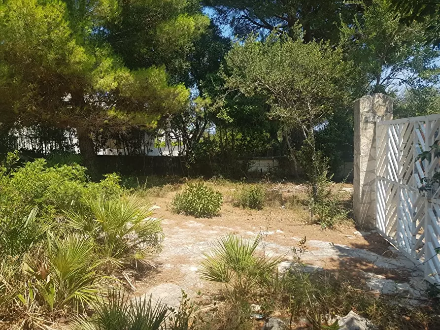 Immagine 30 di Villa in vendita  in Rosa Marina Via Jasmine 13 a Ostuni
