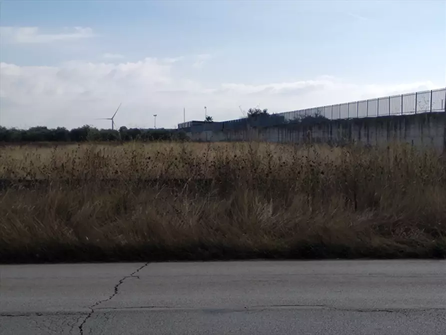 Immagine 1 di Terreno agricolo in vendita  a Cerignola