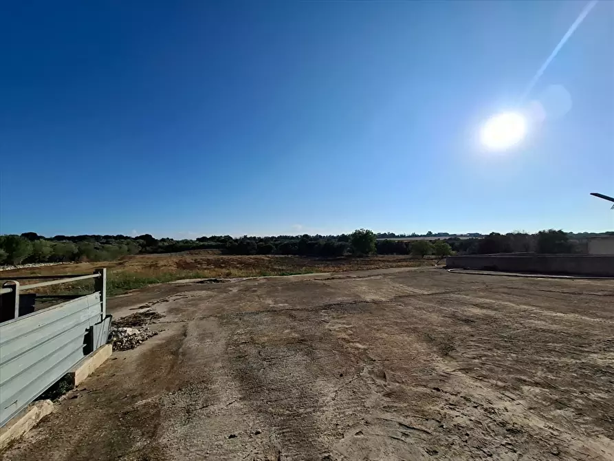 Immagine 7 di Casa indipendente in vendita  in Contrada Putignano 80 a Conversano
