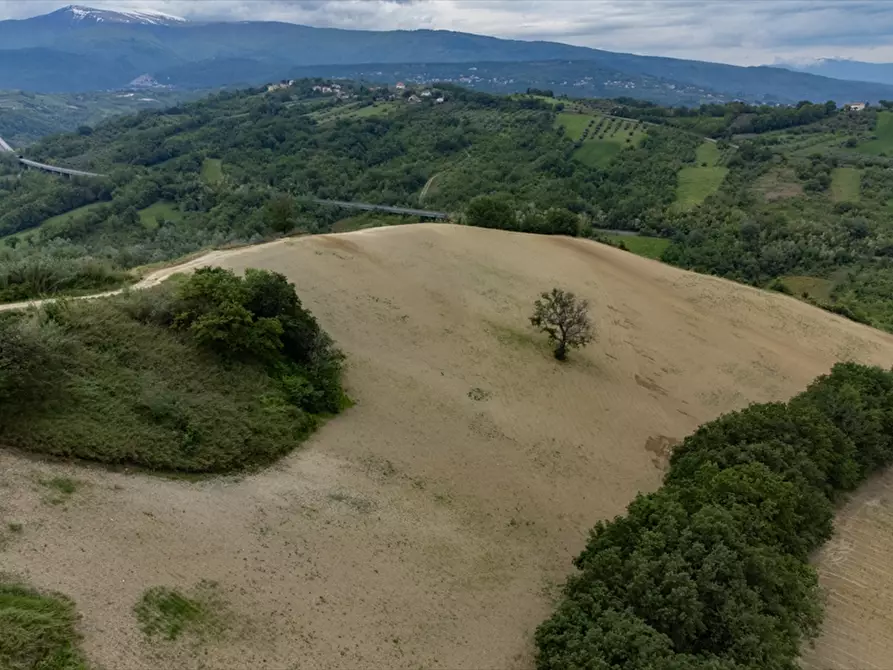 Immagine 8 di Terreno agricolo in vendita  a Bucchianico