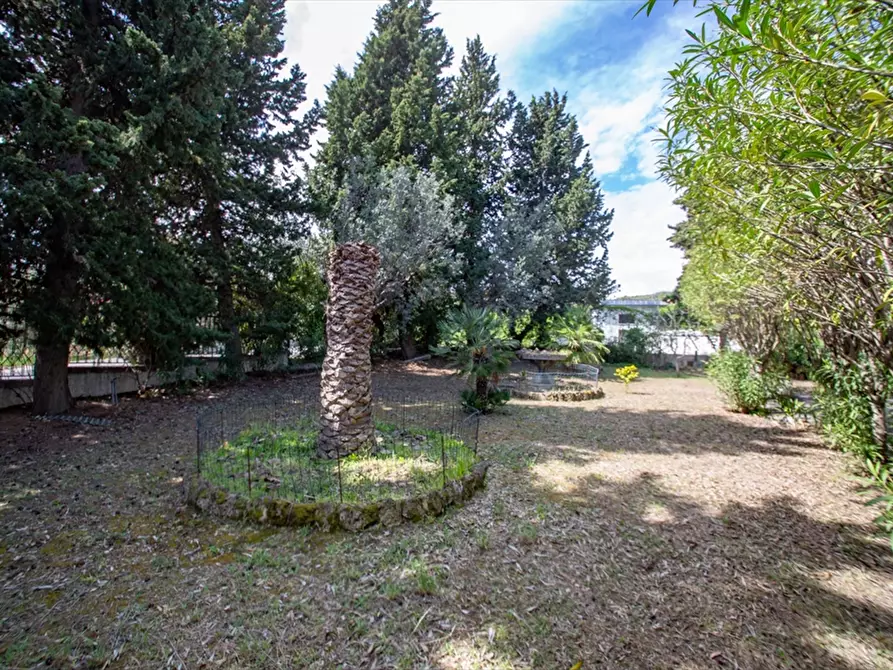 Immagine 17 di Villa in vendita  in VIA  ENZO FERRARI 47 a Tortoreto