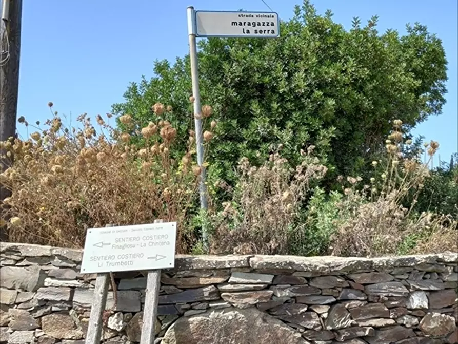 Immagine 3 di Terreno agricolo in vendita  in Biancareddu La Nurra 