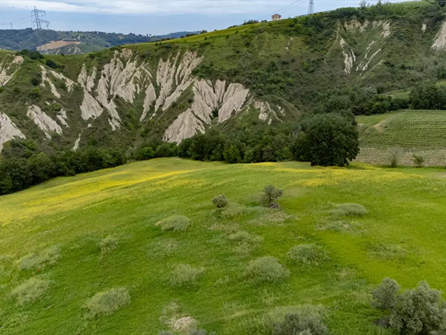 Immagine 18 di Terreno agricolo in vendita  a Bucchianico