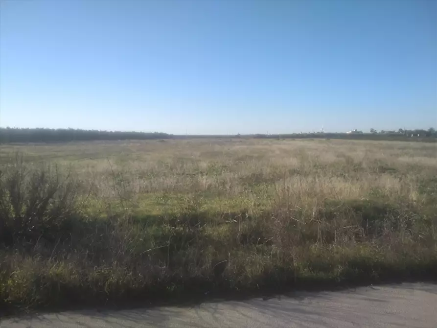 Immagine 1 di Terreno agricolo in vendita  in Zona San Marco  a Cerignola