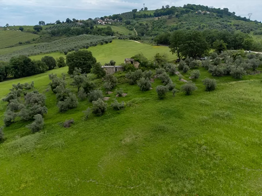 Immagine 12 di Terreno agricolo in vendita  a Bucchianico