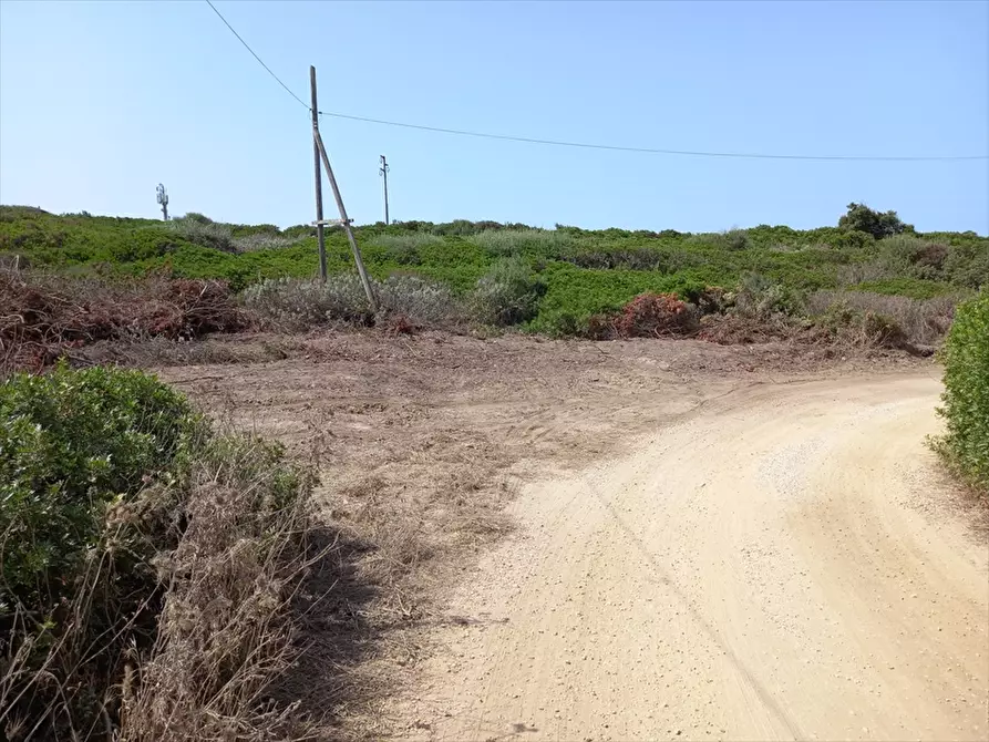 Immagine 13 di Terreno agricolo in vendita  in Biancareddu La Nurra 