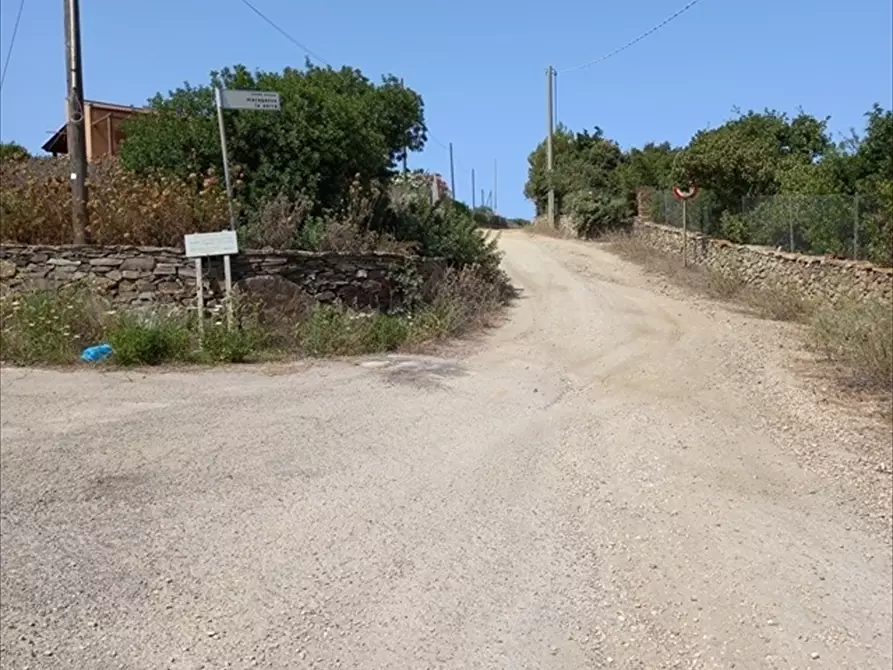 Immagine 1 di Terreno agricolo in vendita  in Biancareddu La Nurra 