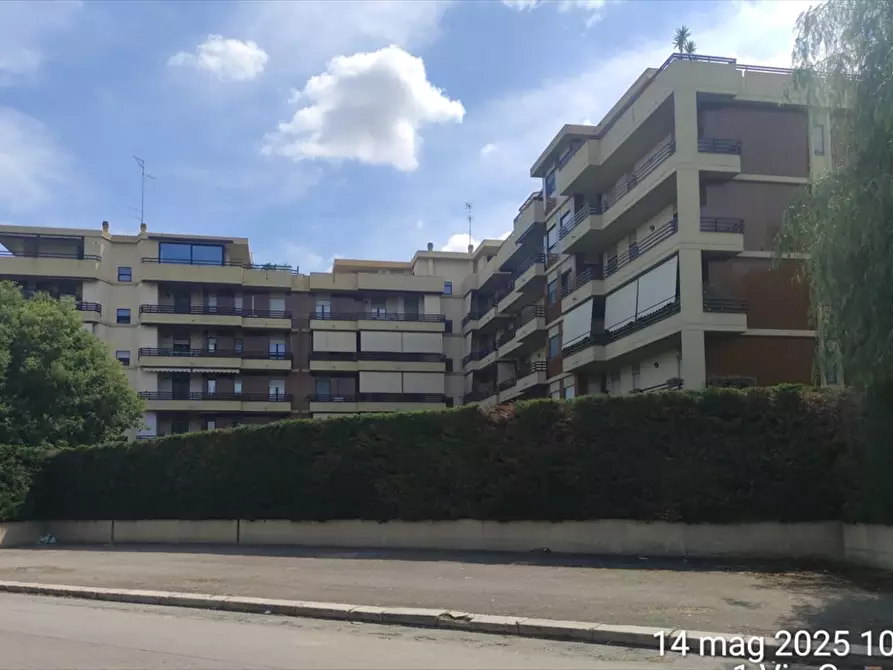 Immagine 2 di Appartamento in vendita  a Cerignola