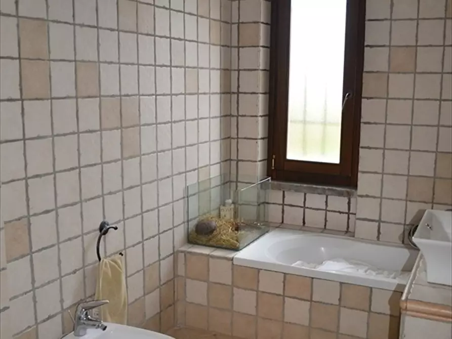 Immagine 26 di Casa indipendente in vendita  in Via del mare  a Anzio