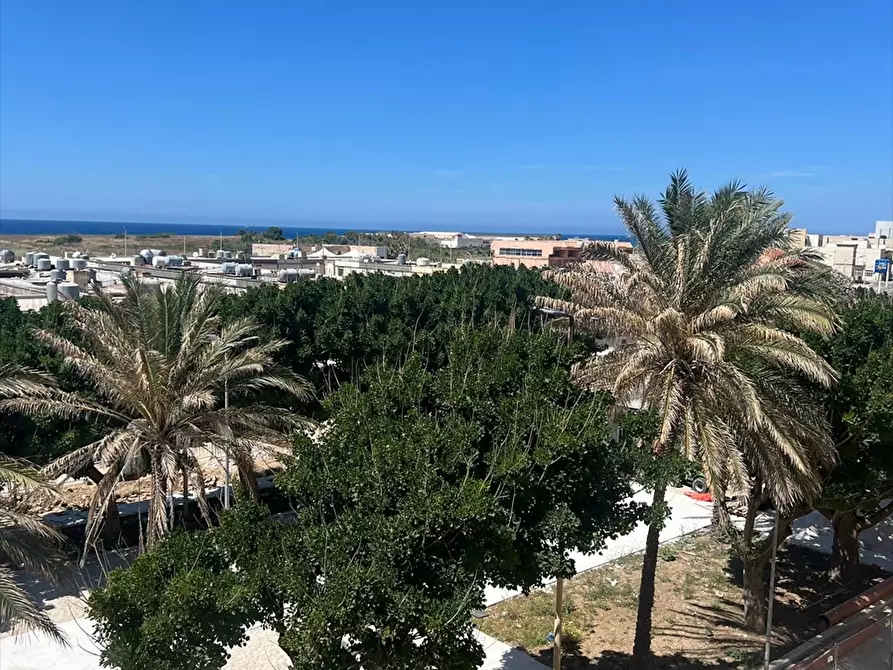 Immagine 3 di Appartamento in vendita  a Trapani