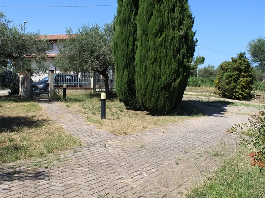 Immagine 6 di Casa indipendente in vendita  in Via Belvedere 27 a Collecorvino