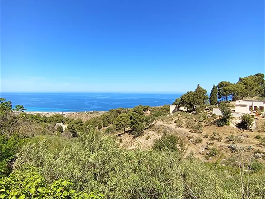 Immagine 1 di Terreno agricolo in vendita  a Erice