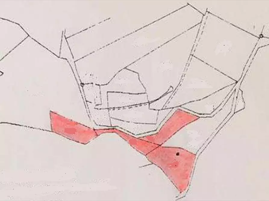 Immagine 18 di Terreno agricolo in vendita  in Biancareddu La Nurra 