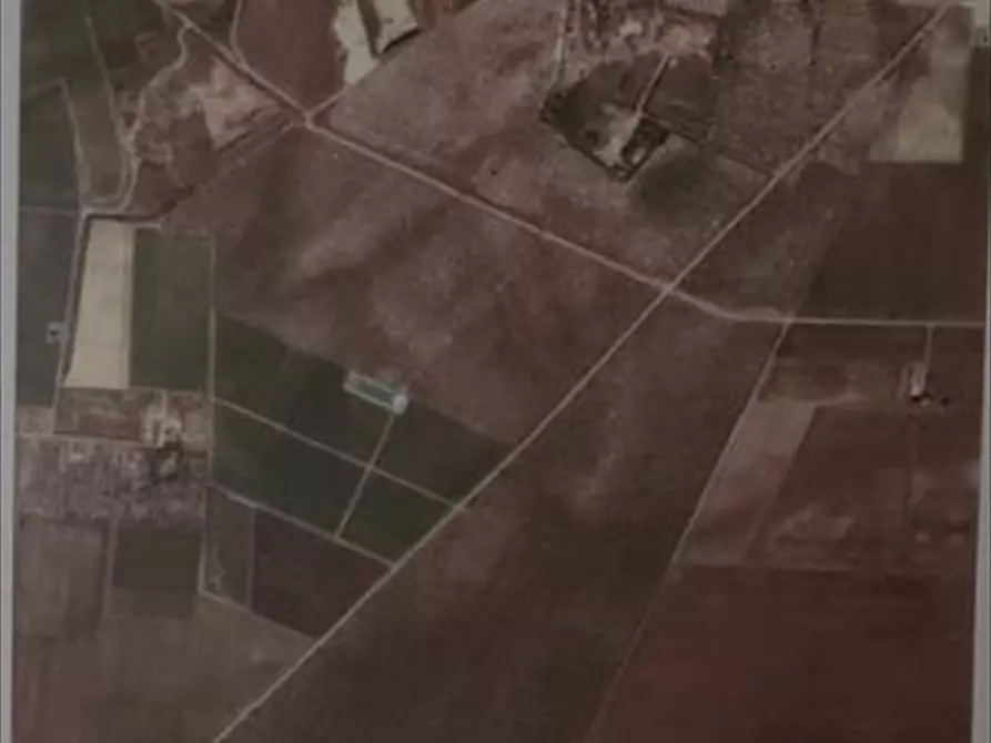 Immagine 1 di Terreno agricolo in vendita  a Cerignola