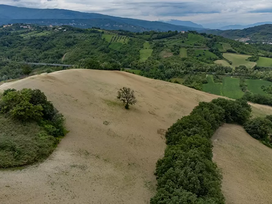 Immagine 7 di Terreno agricolo in vendita  a Bucchianico