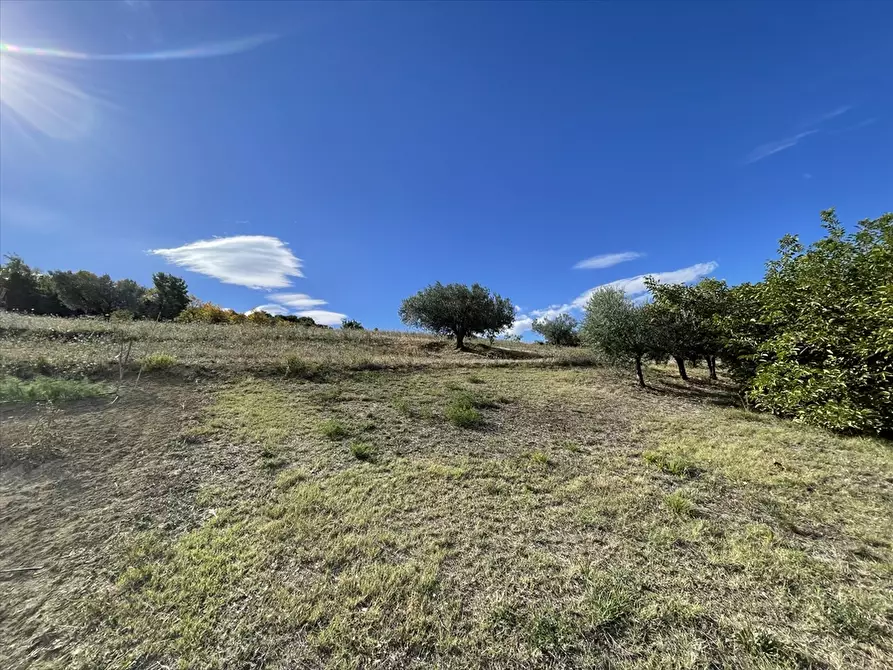 Immagine 15 di Rustico / casale in vendita  a Casalincontrada