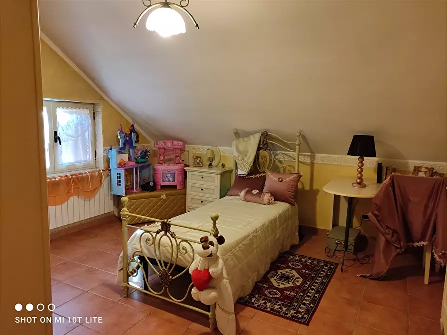 Immagine 14 di Terreno agricolo in vendita  in Contrada San Vito a Cerignola