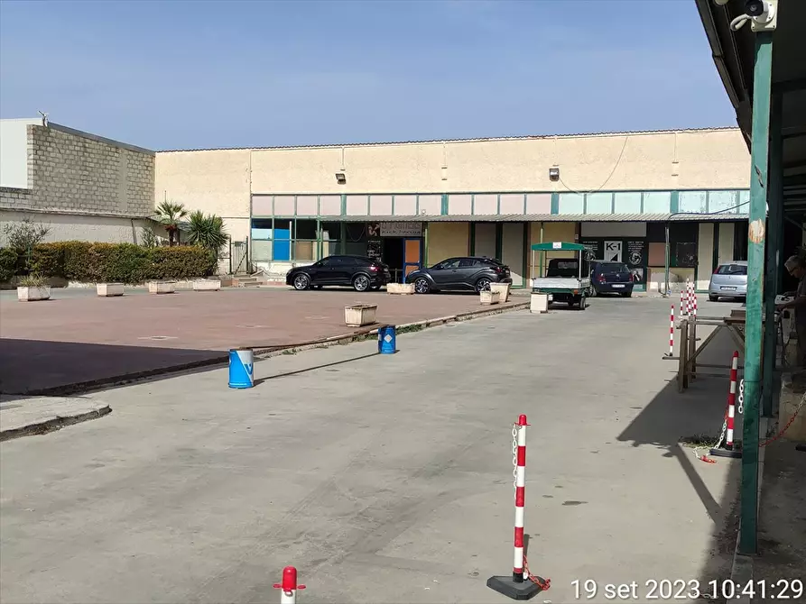 Immagine 4 di Terreno agricolo in vendita  in  VIA TRINITAPOLI  a Cerignola