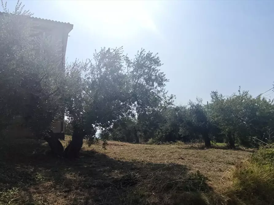Immagine 7 di Casa indipendente in vendita  in via gandhi a San Giovanni Teatino