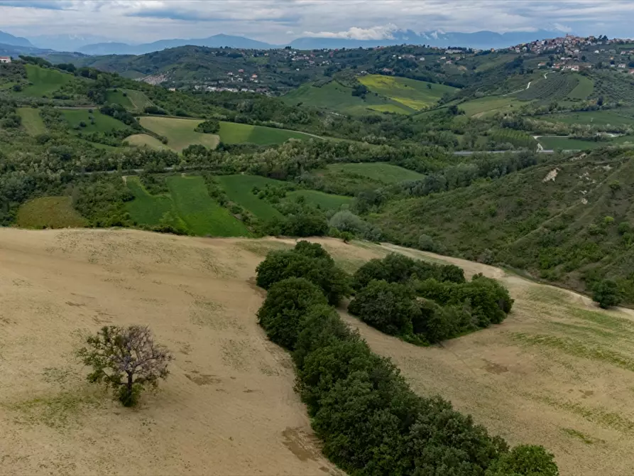 Immagine 2 di Terreno agricolo in vendita  a Bucchianico
